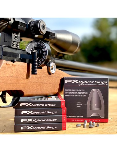 Fx Hybrid Slug (.217) 22gr