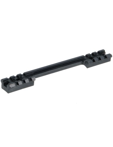 Rail Picatinny RM-700