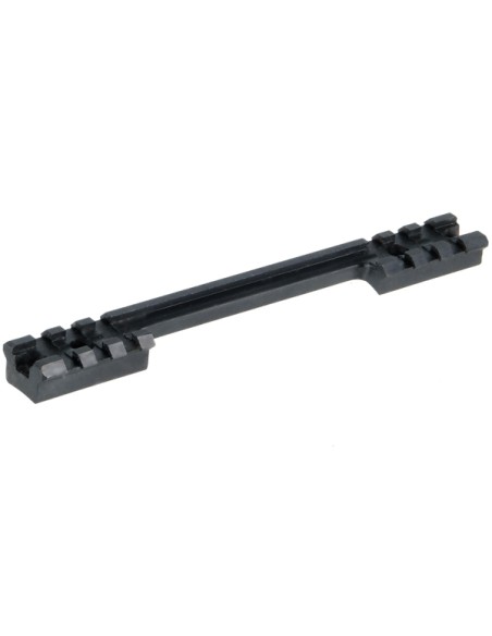Rail Picatinny RM-700