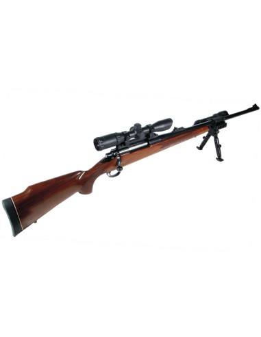 Rail Picatinny RM-700