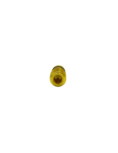 Brass plug DRS
