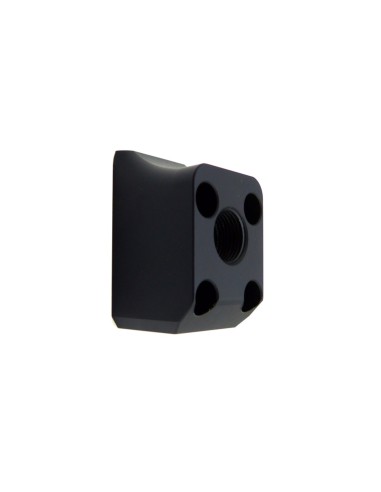 Recoil Pad Transition