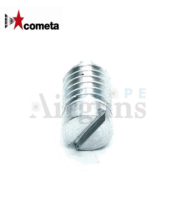 Triger regulator screw