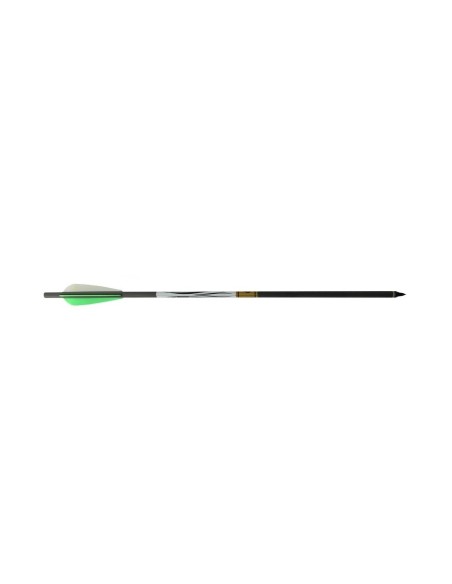 Arrow  Gold tip