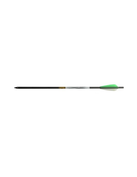 Arrow  Gold tip